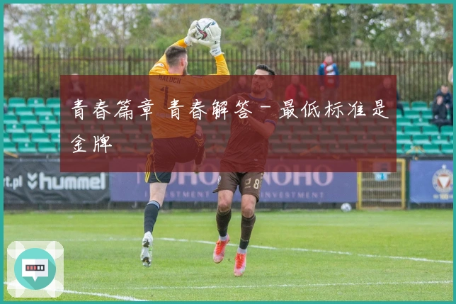 青春篇章 青春解答 - 最低标准是金牌