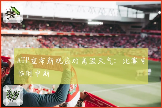 ATP宣布新规应对高温天气:比赛可临时中断