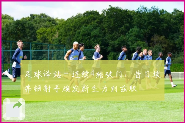 足球译站 - 连续4轮破门，昔日埃弗顿射手焕发新生为利兹联