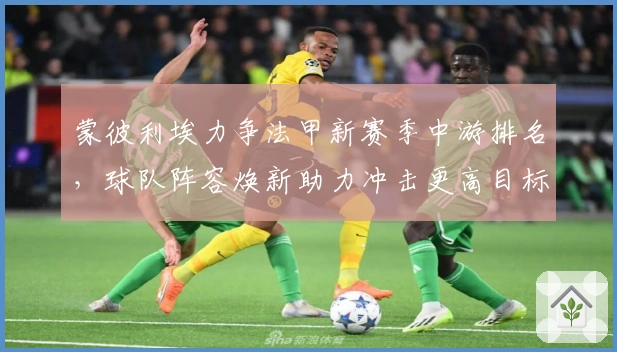 蒙彼利埃力争法甲新赛季中游排名,球队阵容焕新助力冲击更高目标