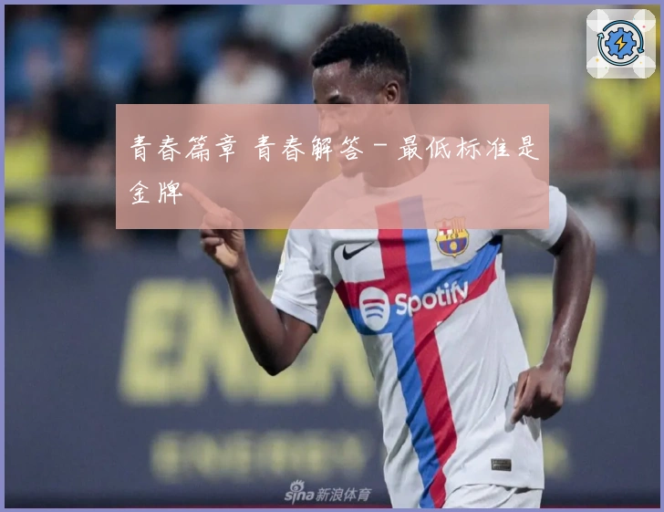 青春篇章 青春解答 - 最低标准是金牌